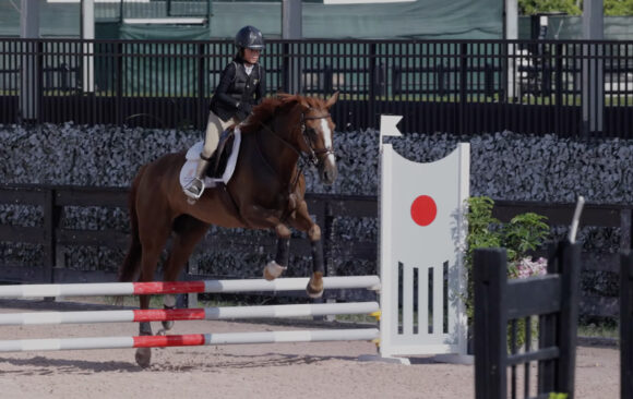 Penelope & Twinkie: First Time Over .70 — A Milestone to Remember at Wellington! 🌟🐎