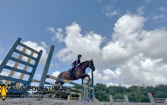 A GOOD TRAIN ON A FRIENDS BARN